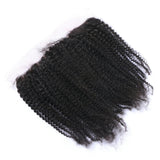 Kinky Curly 13x4 Virgin Human Hair Natural Black Frontal